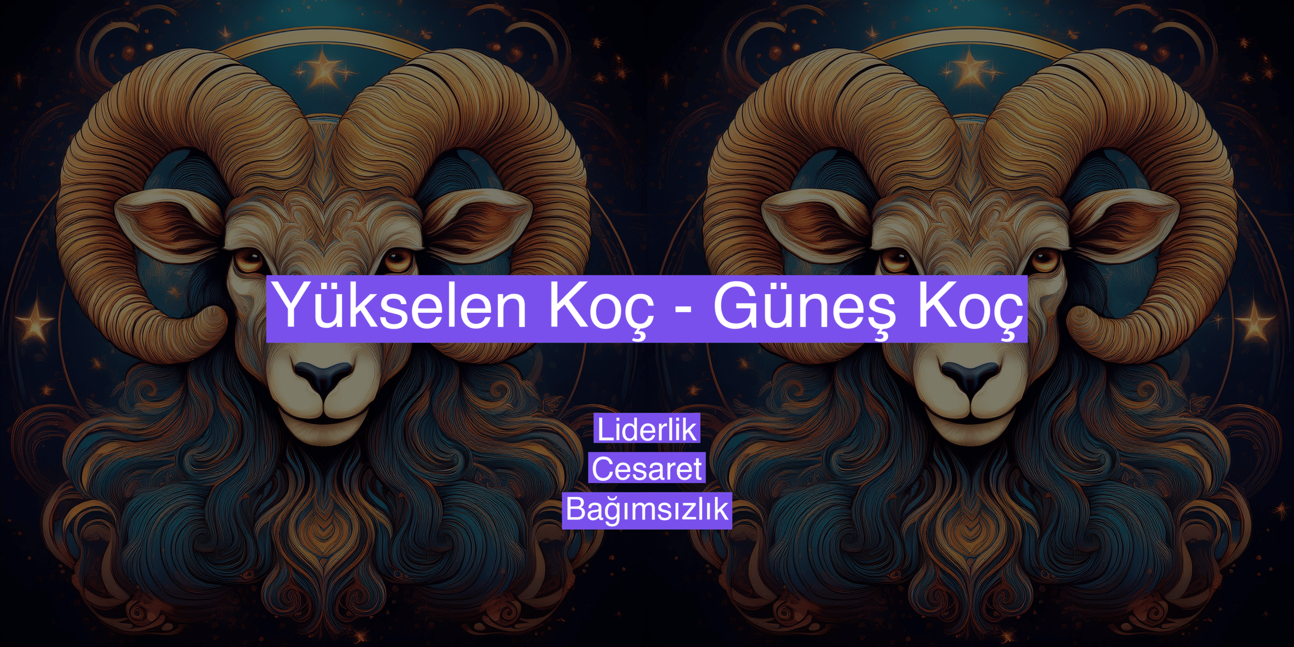 yukselen-koc-gunes-koc